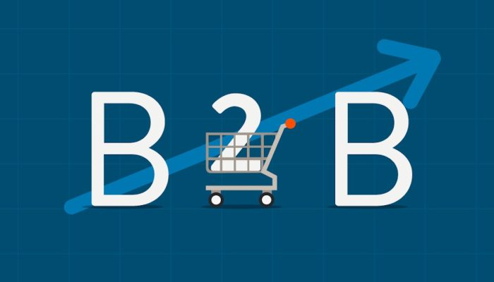 Ecommerce-B2B